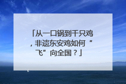 从一口锅到千只鸡，非遗东安鸡如何“飞”向全国？
