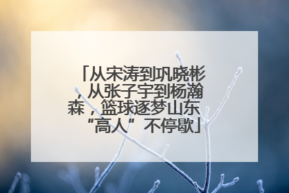从宋涛到巩晓彬，从张子宇到杨瀚森，篮球逐梦山东“高人”不停歇