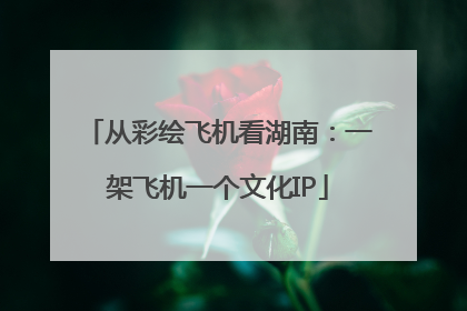 从彩绘飞机看湖南：一架飞机一个文化IP