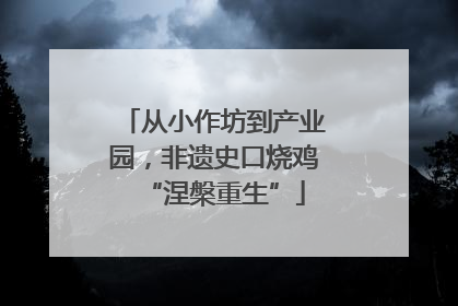 从小作坊到产业园，非遗史口烧鸡“涅槃重生”