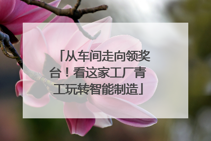 从车间走向领奖台！看这家工厂青工玩转智能制造