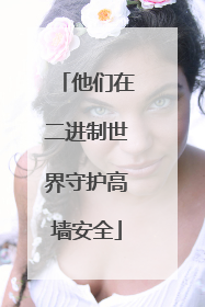 他们在二进制世界守护高墙安全
