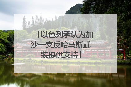 以色列承认为加沙一支反哈马斯武装提供支持