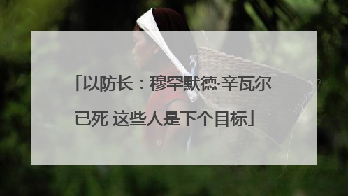 以防长：穆罕默德·辛瓦尔已死 这些人是下个目标