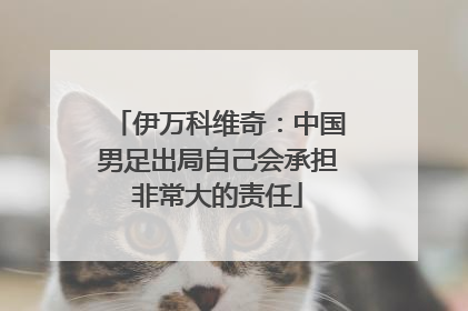 伊万科维奇：中国男足出局自己会承担非常大的责任