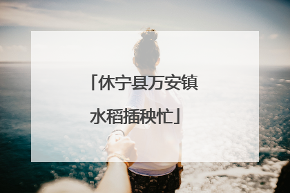 休宁县万安镇水稻插秧忙