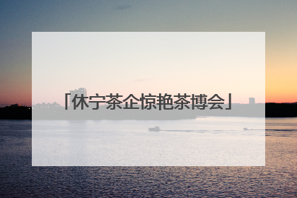 休宁茶企惊艳茶博会