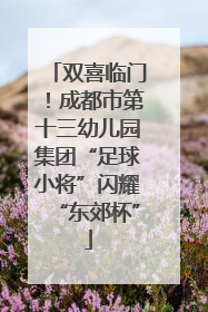 双喜临门！成都市第十三幼儿园集团“足球小将”闪耀“东郊杯”
