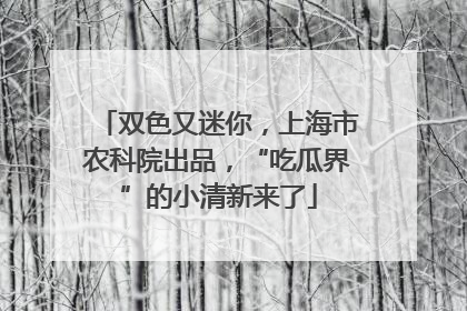 双色又迷你，上海市农科院出品，“吃瓜界”的小清新来了