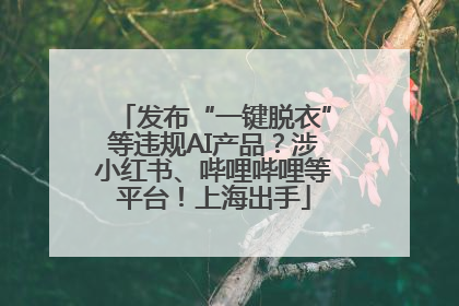 发布“一键脱衣”等违规AI产品？涉小红书、哔哩哔哩等平台！上海出手