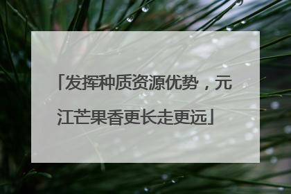 发挥种质资源优势，元江芒果香更长走更远