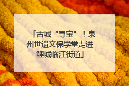 古城“寻宝”！泉州世遗文保学堂走进鲤城临江街道