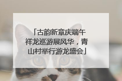 古韵新章庆端午 祥龙巡游展风华，青山村举行游龙盛会