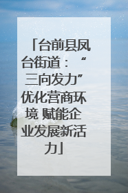 台前县凤台街道：“三向发力”优化营商环境 赋能企业发展新活力