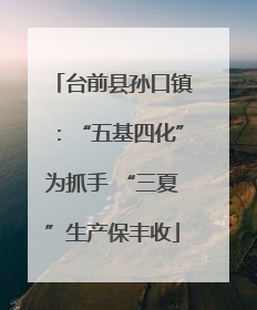 台前县孙口镇：“五基四化”为抓手 “三夏”生产保丰收