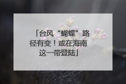 台风“蝴蝶”路径有变！或在海南这一带登陆