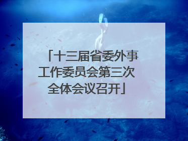 十三届省委外事工作委员会第三次全体会议召开