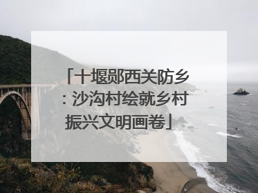 十堰郧西关防乡：沙沟村绘就乡村振兴文明画卷