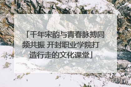 千年宋韵与青春脉搏同频共振 开封职业学院打造行走的文化课堂