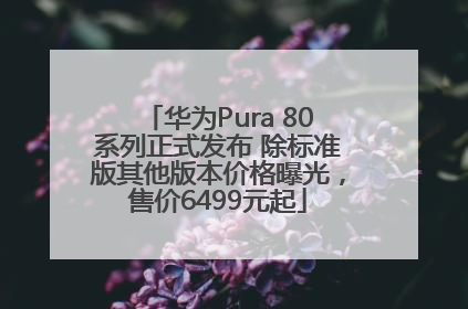 华为Pura 80系列正式发布 除标准版其他版本价格曝光，售价6499元起