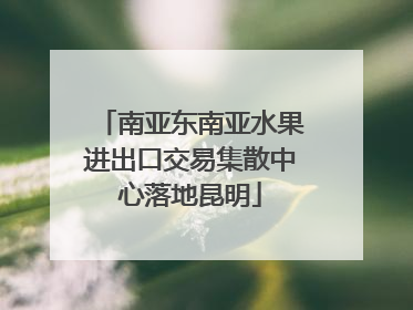 南亚东南亚水果进出口交易集散中心落地昆明