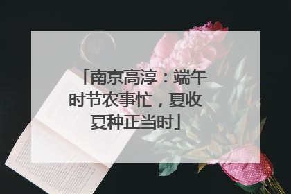 南京高淳：端午时节农事忙，夏收夏种正当时