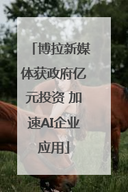 博拉新媒体获政府亿元投资 加速AI企业应用