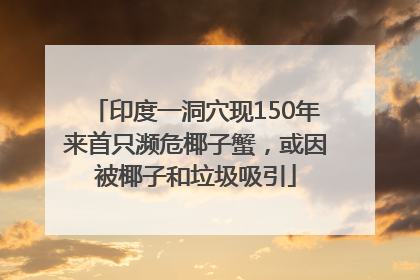 印度一洞穴现150年来首只濒危椰子蟹，或因被椰子和垃圾吸引