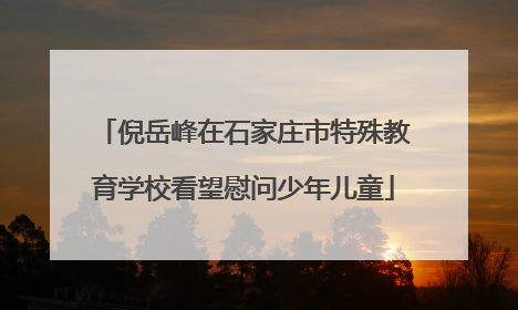 倪岳峰在石家庄市特殊教育学校看望慰问少年儿童