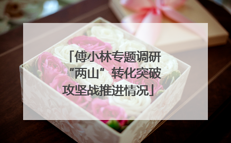 傅小林专题调研“两山”转化突破攻坚战推进情况
