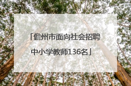 儋州市面向社会招聘中小学教师136名