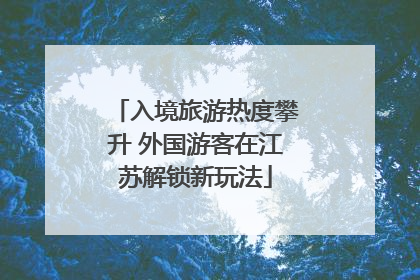 入境旅游热度攀升 外国游客在江苏解锁新玩法