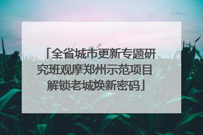 全省城市更新专题研究班观摩郑州示范项目 解锁老城焕新密码