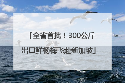 全省首批！300公斤出口鲜杨梅飞赴新加坡