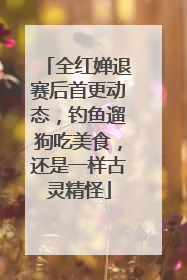 全红婵退赛后首更动态，钓鱼遛狗吃美食，还是一样古灵精怪