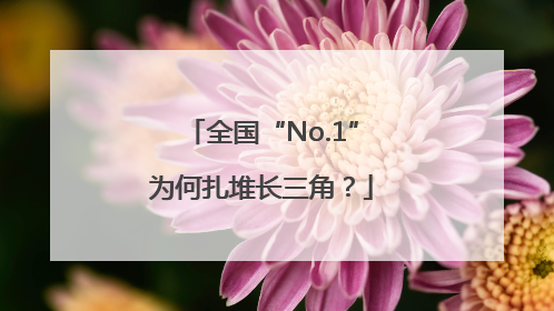 全国“No.1”为何扎堆长三角？