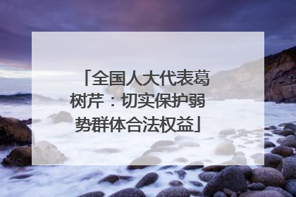 全国人大代表葛树芹：切实保护弱势群体合法权益