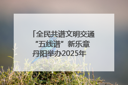 全民共谱文明交通“五线谱”新乐章 丹阳举办2025年“文明交通 同心同行”主题宣传活动