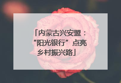 内蒙古兴安盟：“阳光银行”点亮乡村振兴路