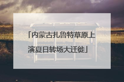 内蒙古扎鲁特草原上演夏日转场大迁徙