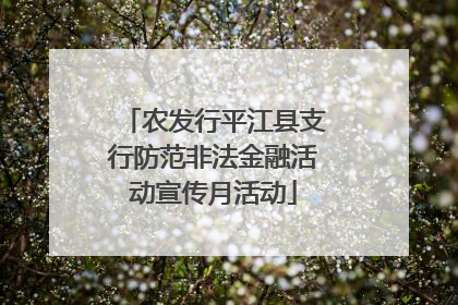 农发行平江县支行防范非法金融活动宣传月活动