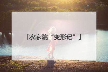 农家院“变形记”