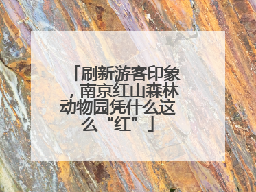 刷新游客印象，南京红山森林动物园凭什么这么“红”