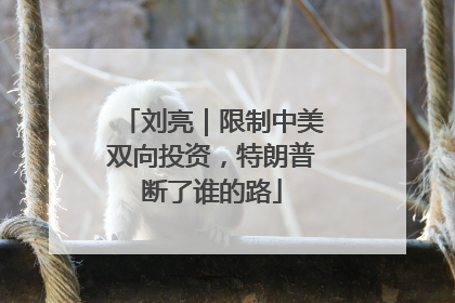 刘亮｜限制中美双向投资，特朗普断了谁的路