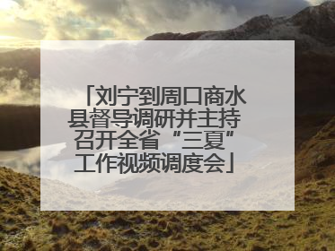 刘宁到周口商水县督导调研并主持召开全省“三夏”工作视频调度会