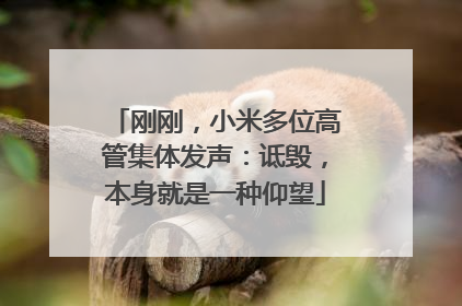 刚刚，小米多位高管集体发声：诋毁，本身就是一种仰望