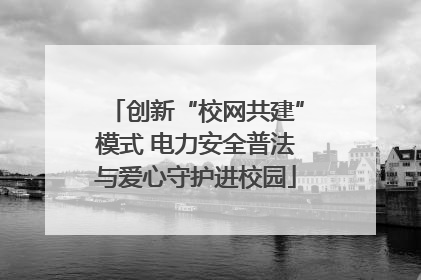 创新“校网共建”模式 电力安全普法与爱心守护进校园