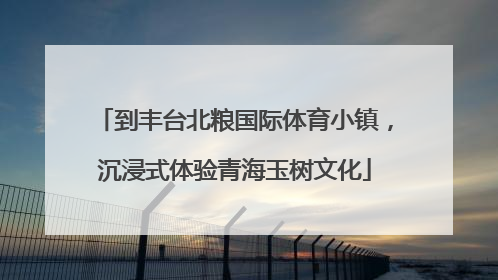 到丰台北粮国际体育小镇，沉浸式体验青海玉树文化