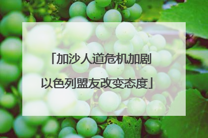 加沙人道危机加剧 以色列盟友改变态度