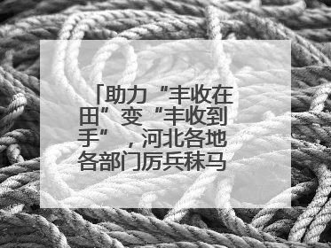 助力“丰收在田”变“丰收到手”，河北各地各部门厉兵秣马迎战“三夏”